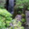 vizeses_20gif_1296637_1446_n