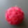 Dekoracio-002_1737523_6371_t